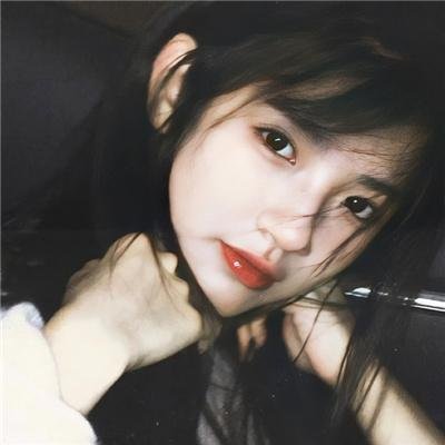 森林：随处可见