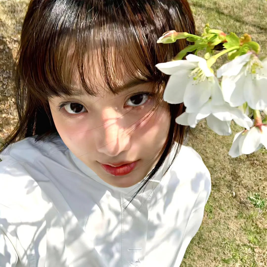 明月山海揽芳华