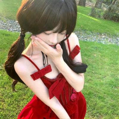 双面骗子虚假警察第一季